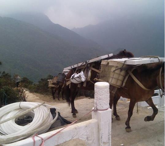 从化区山区马帮运输