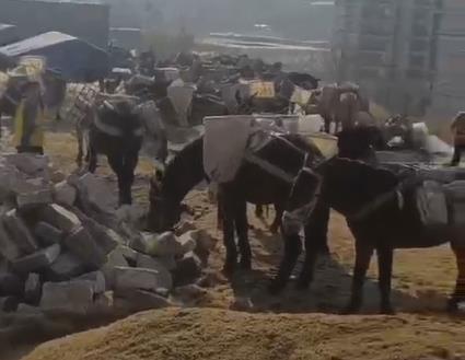 从化区马队山路运输