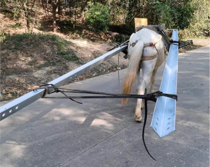 从化区马队搬运