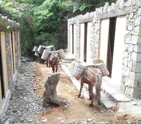 从化区马队运输队