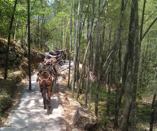 从化区山路马队运输