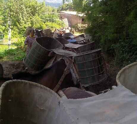 从化区骡马运输队