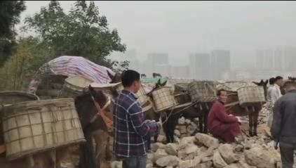 从化区骡马山区运输