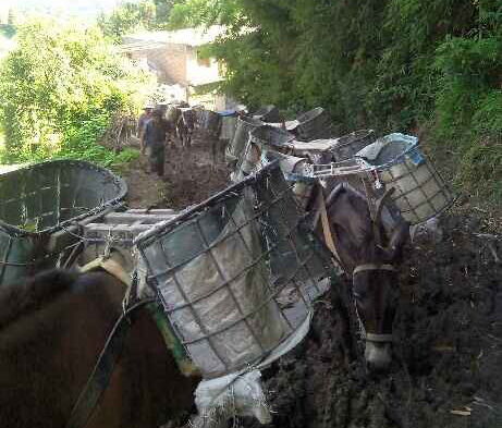 从化区马帮搬运