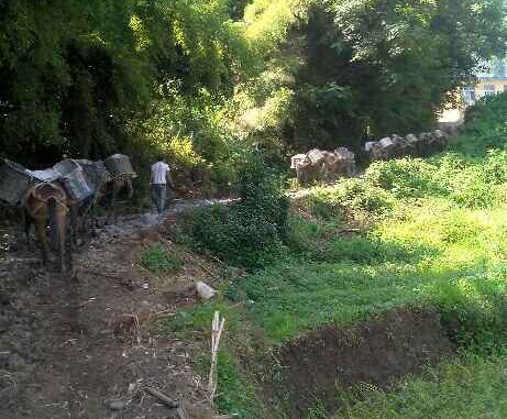 从化区马帮运输队